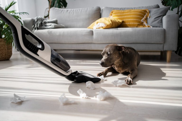 Say Goodbye to Pet Hair Mess: Discover the Ultimate Vacuum Solution!