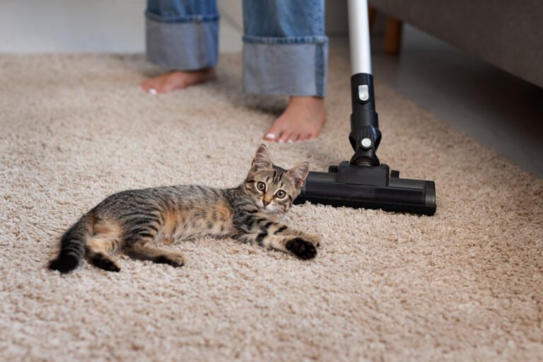 Best Vacuum for Pet Hair: Top 5 Picks for 2023