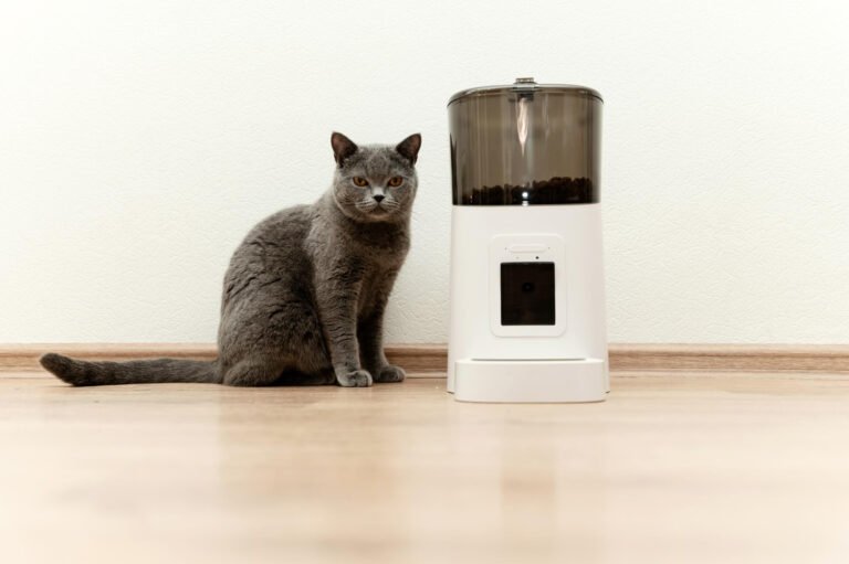 Are Automatic Cat Feeders Any Good?